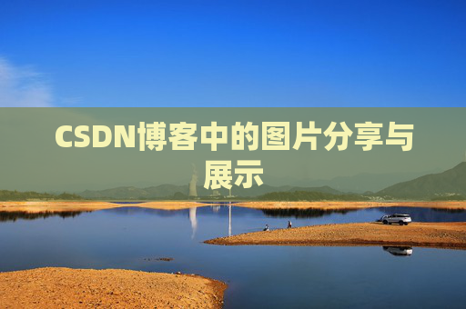 CSDN博客中的图片分享与展示